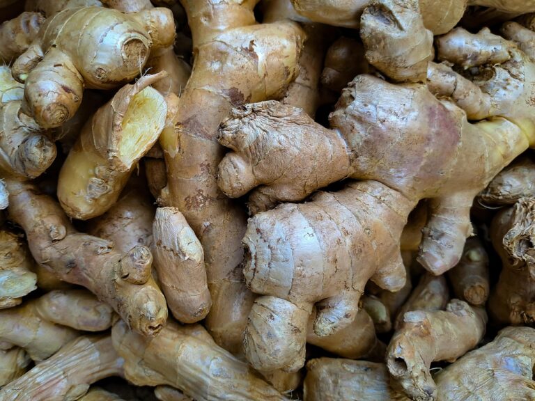 ginger, windows wallpaper, 4k wallpaper, wallpaper hd, natural remedies, herb, medicine, 4k wallpaper 1920x1080, mac wallpaper, ginger root, desktop backgrounds, healthy, laptop wallpaper, wallpaper 4k, beautiful wallpaper, vegetable, full hd wallpaper, fresh, raw, biological, cool backgrounds, hd wallpaper, free wallpaper, detail, root vegetables, medicinal plant, ginger tea, ailments, herbalist, free background, alternative medicine, oriental medicine, background