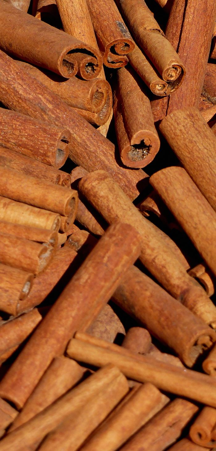 Detailed view of bundled cinnamon sticks showing texture and color.
