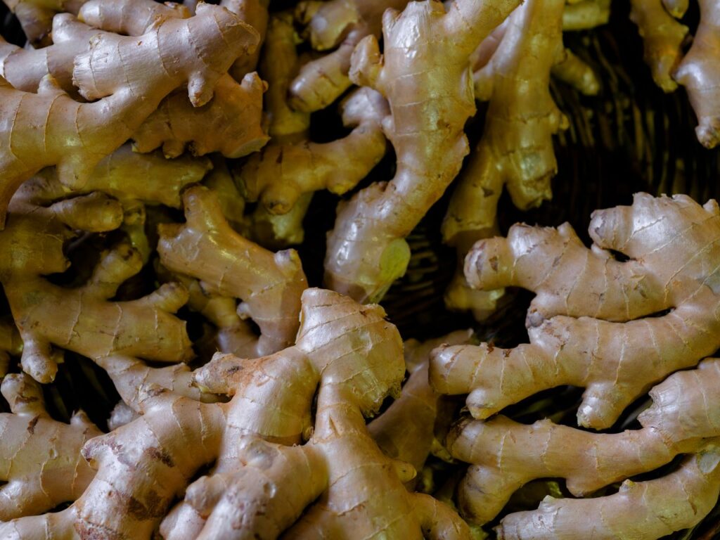 Close-up shot of fresh ginger roots. Perfect for health and cooking themes.