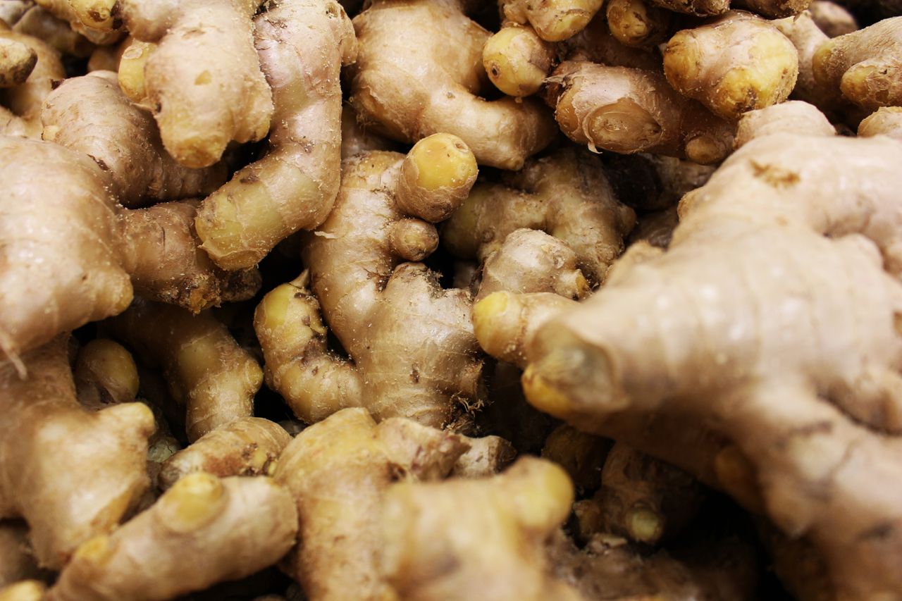 A detailed close-up view of fresh ginger roots in a pile, showcasing their texture and color.