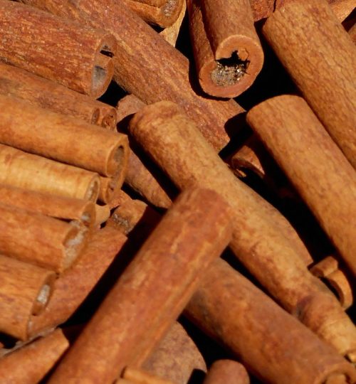 Detailed view of bundled cinnamon sticks showing texture and color.